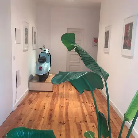 Center Boutique Apartment